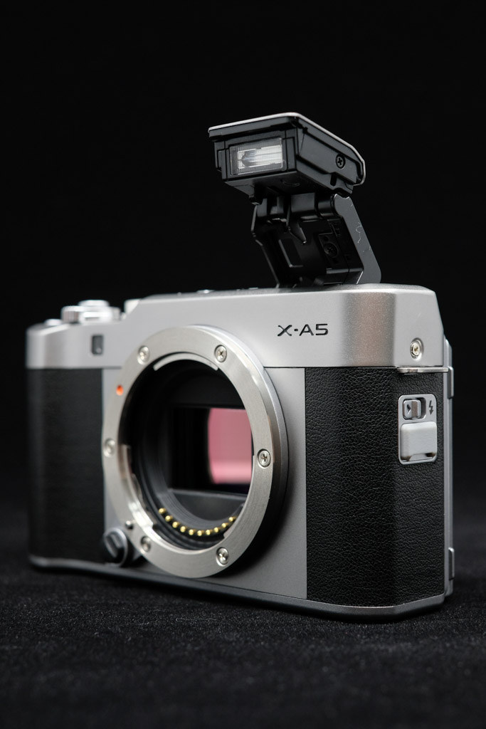 38633990585_36f6fefabc_b