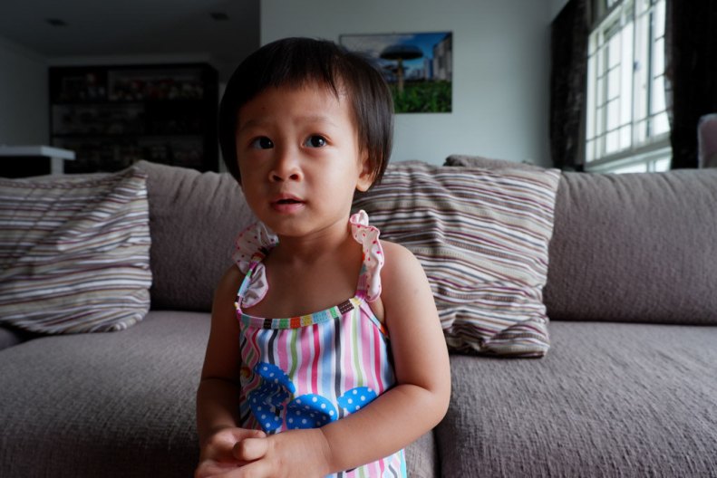 38633993435_c2e95438d9_b