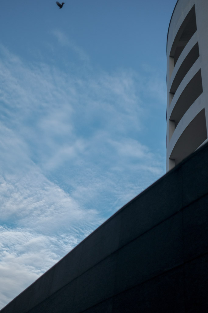 38634484705_853380323f_b