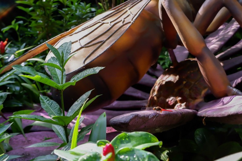 38820930364_7f15d0a477_b