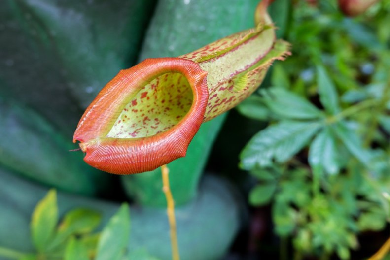 38820930764_ea49cb5240_b