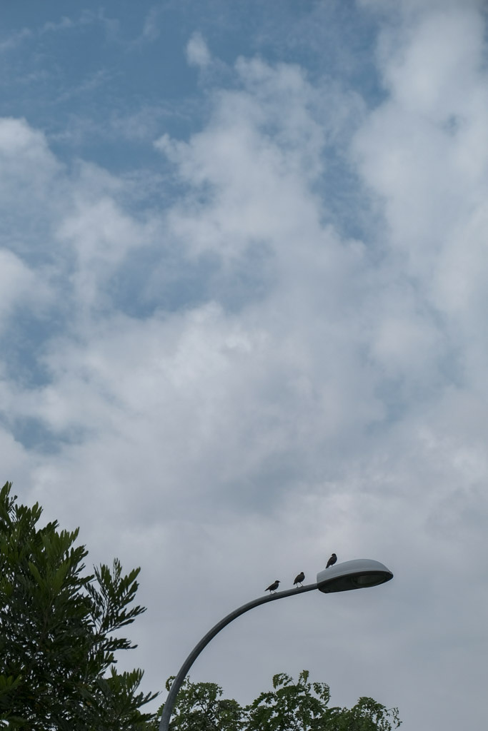 39500642742_b4fc4eaa1d_b