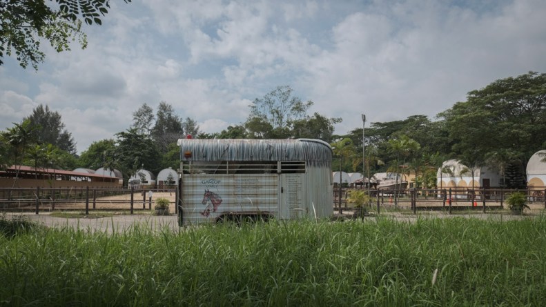 39530782761_13b391ca8e_b