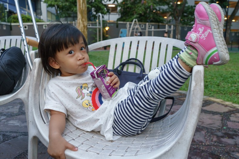 26064757717_26dcda1190_b