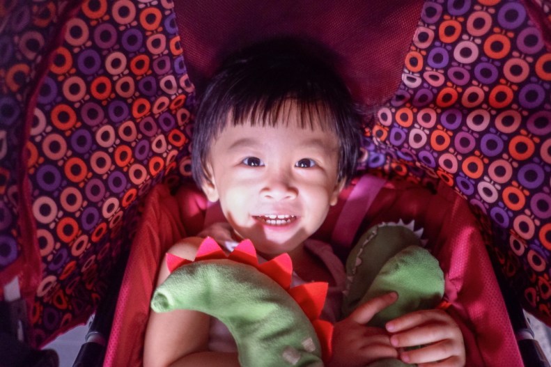 28333555378_22bb7d40a8_k