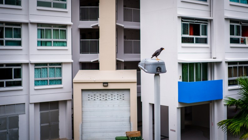 42208797451_11f82bcb8d_k