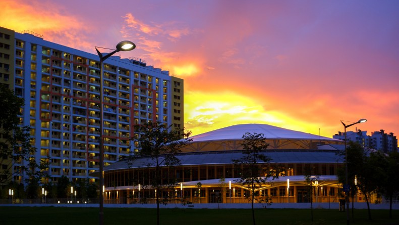 42231079192_0314b0fb46_k