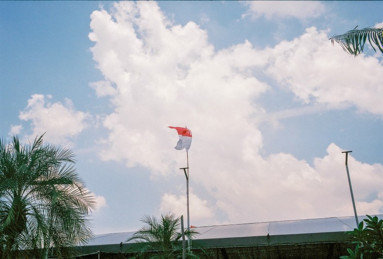 29132609067_4e1e1b5ff1_k