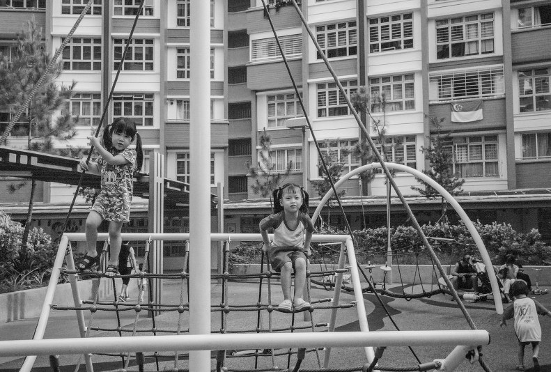 43162960225_64016d7e5a_k