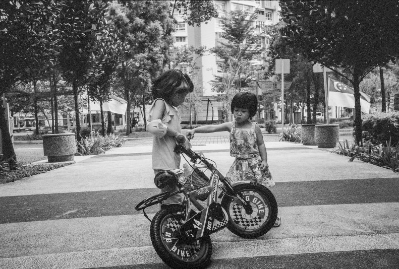 43162980475_cfdf4c86da_k