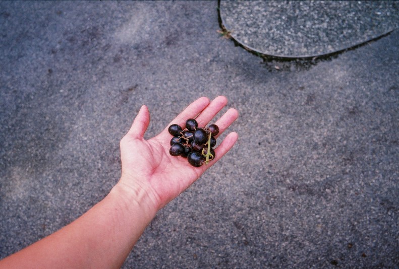 43351040294_9234c01ce4_k