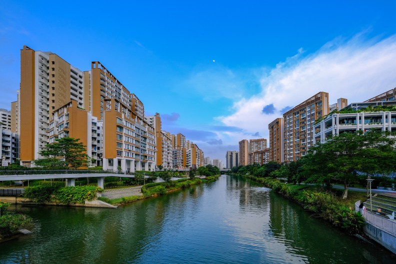 44130156342_3f26a004ba_h