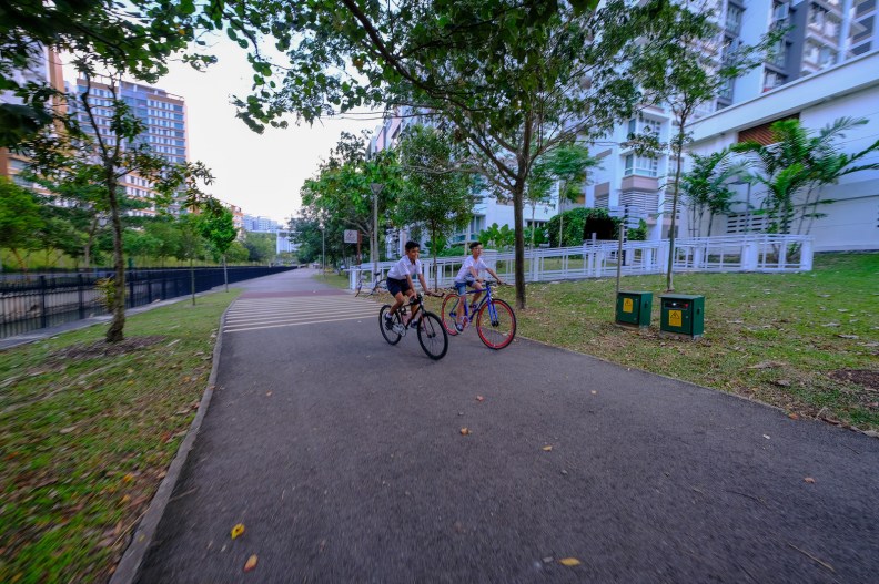 44130163902_95379b6fe1_h