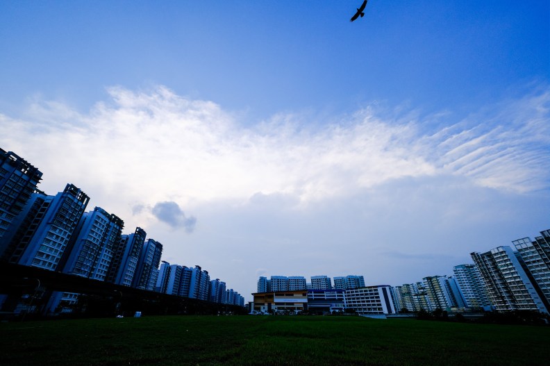 44178036211_96b9ea029c_h