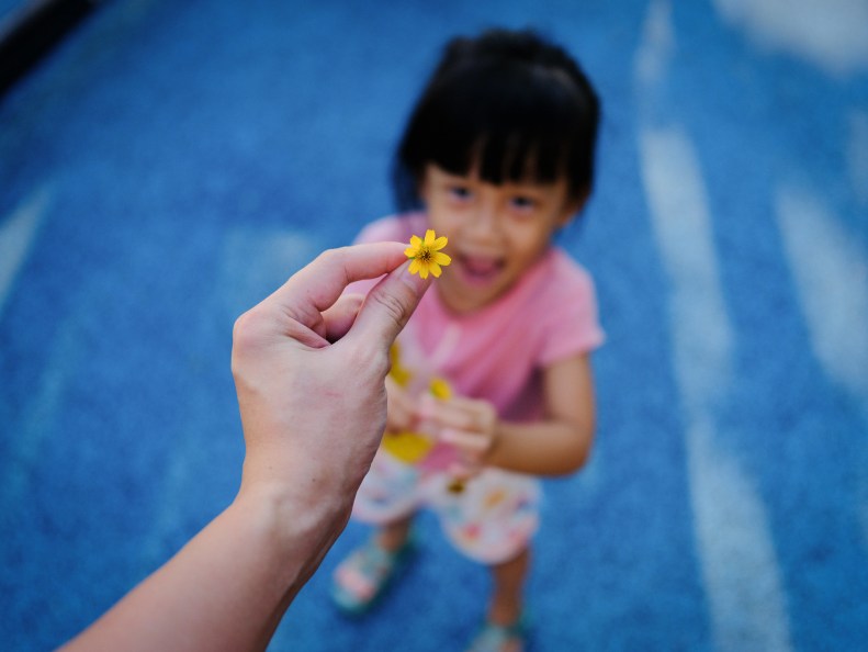 48143878816_ef67e70122_k