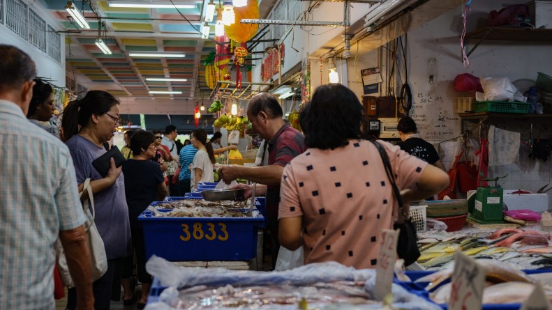 48148767066_c8cc8eeb52_k