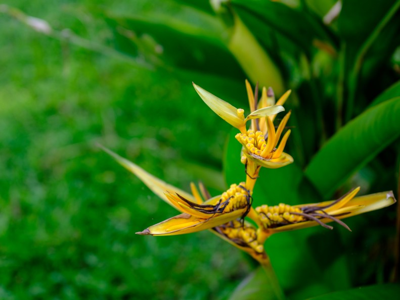 48148770546_d250202d57_k