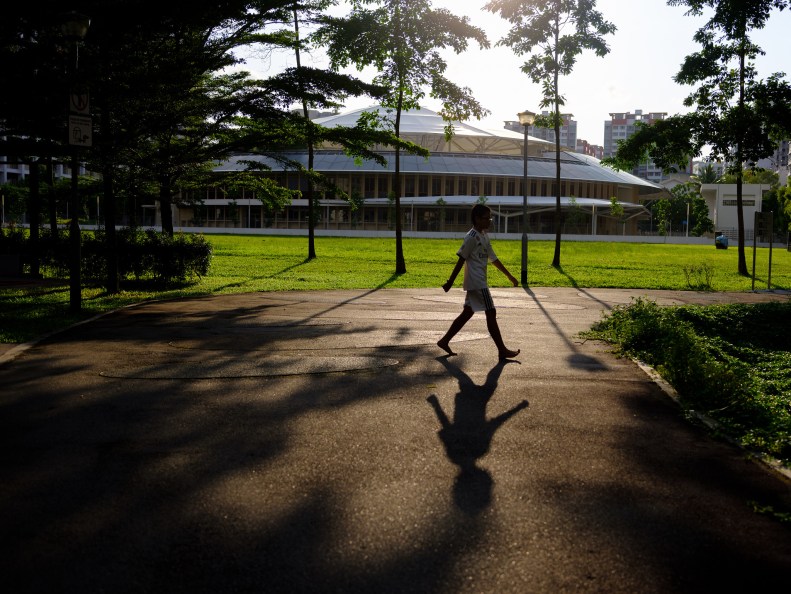 48159107987_fbd9485b8a_k