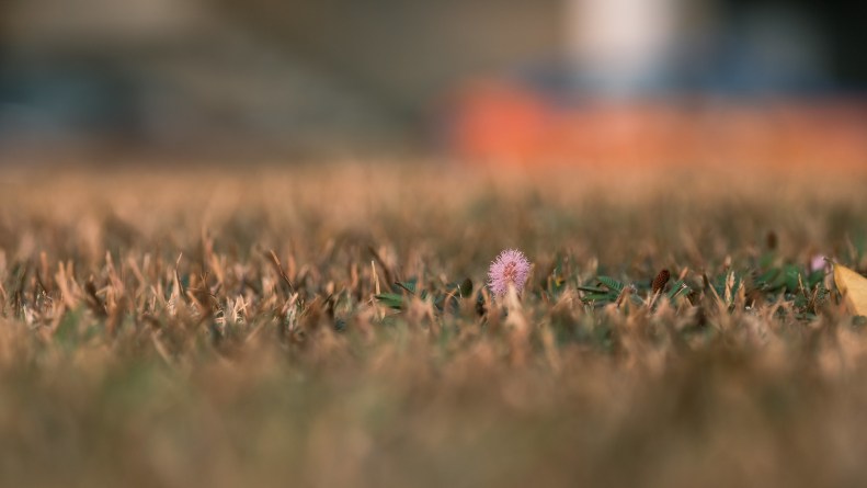 48690554493_7c27c42257_k