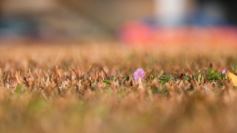 48690554598_f73190d688_k