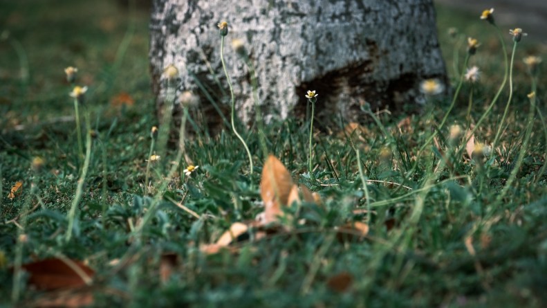 48690899431_feca196064_k