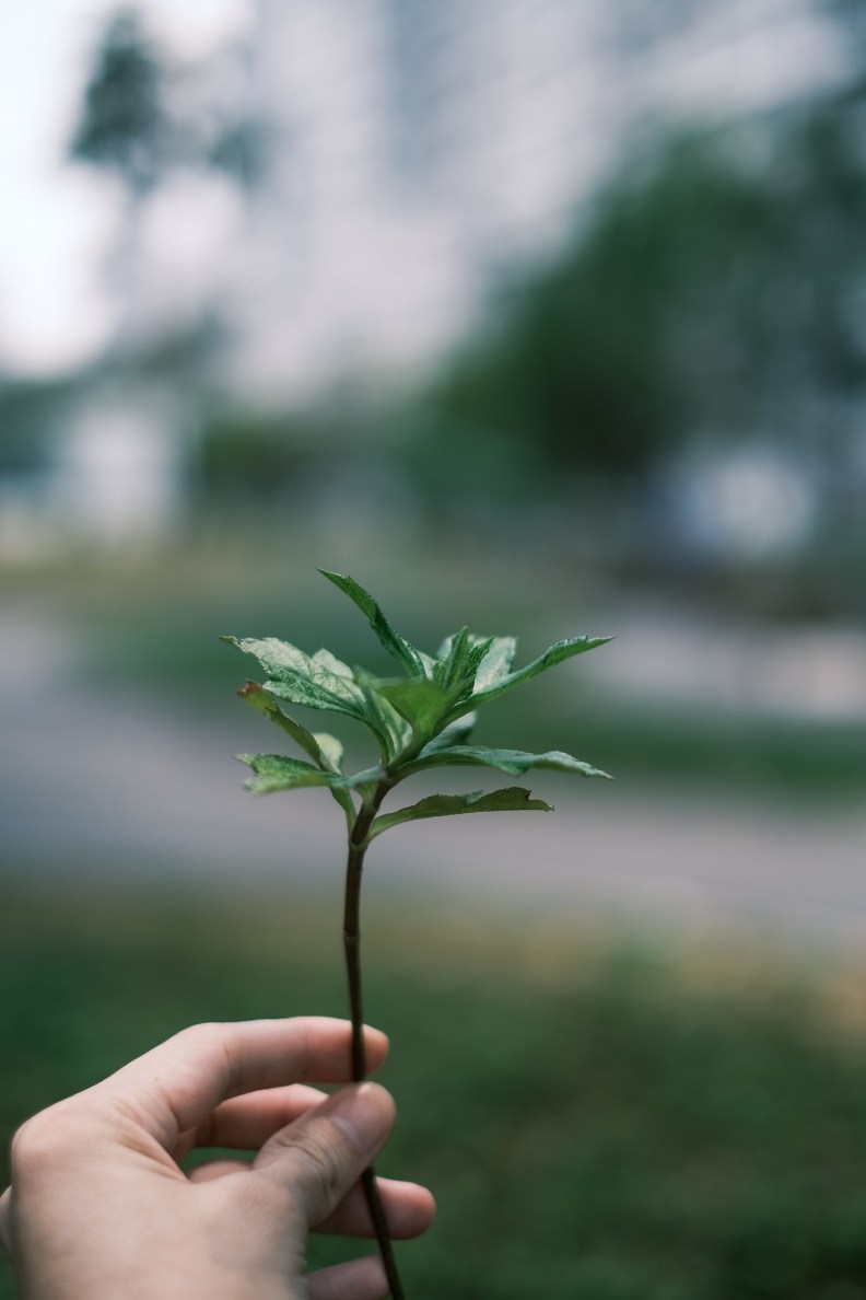 48690902956_d596ab1518_k