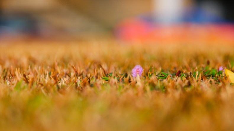 48691063337_64072b3473_k