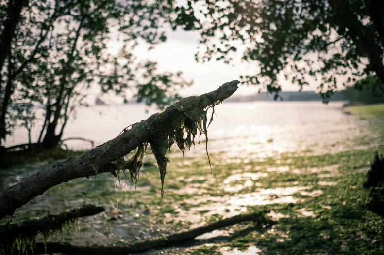 48691065012_b9a1013ebd_k