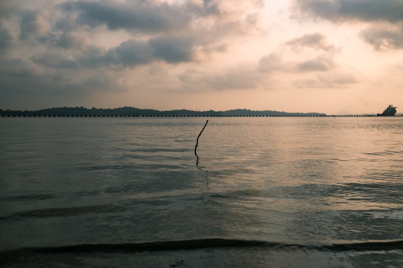 48691065317_210b9288b2_k