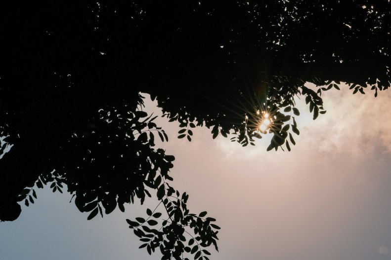 48691066152_99535fb2fc_k