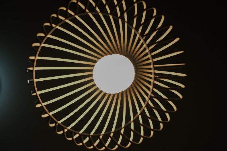 48692433232_0d630fd550_k