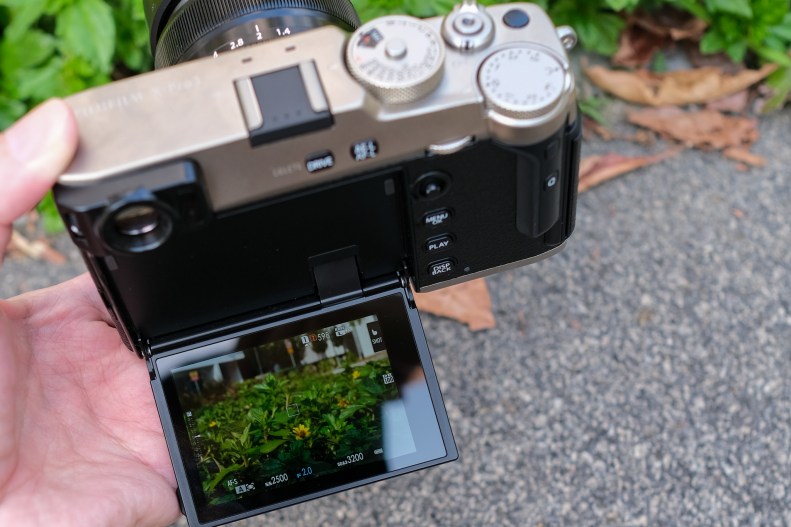 48697801543_aa18abe43e_k