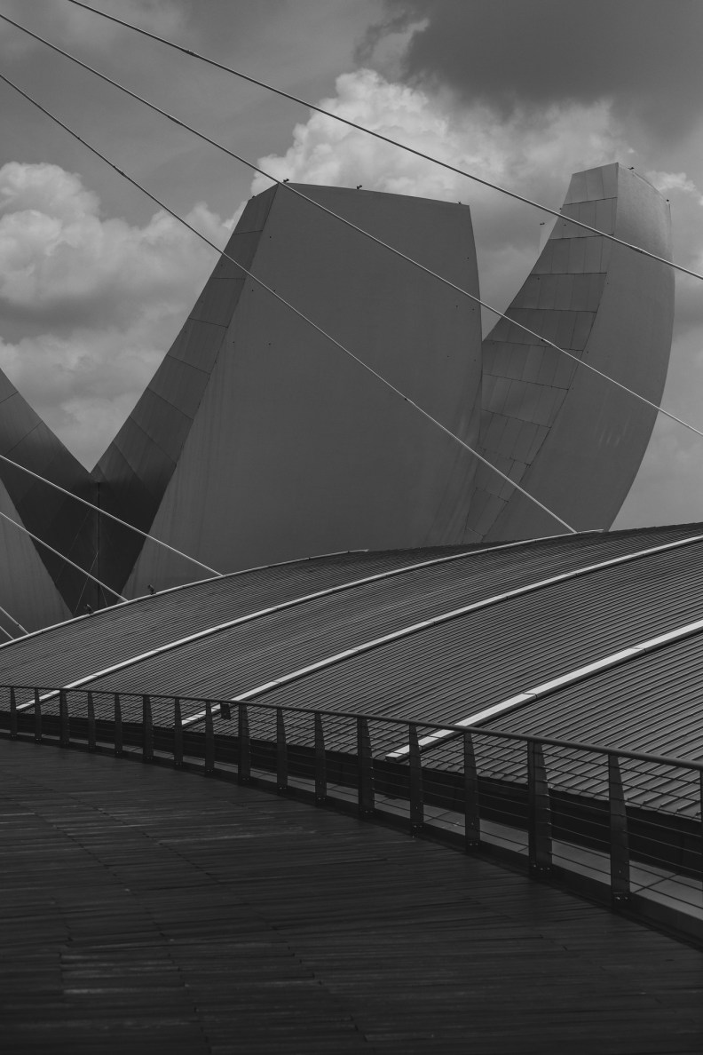 48716631652_f1ca2cbbfb_k